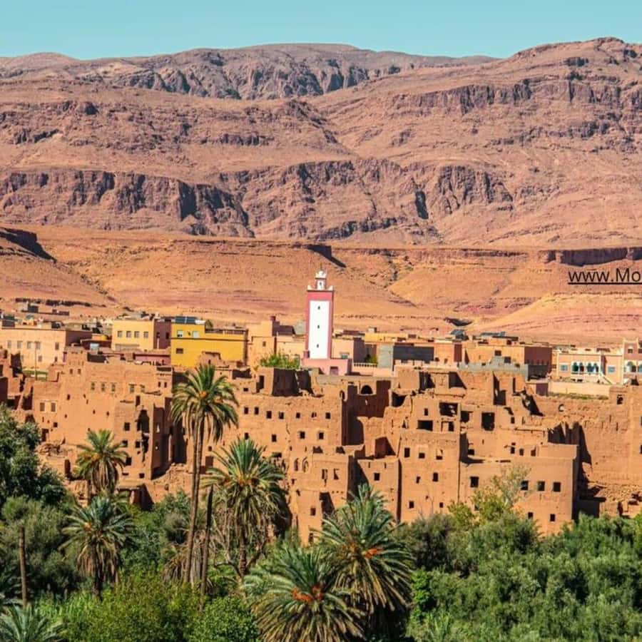 From Marrakech: Ouarzazate & Ait Benhaddou Guided Day Trip - Marrakech Pickup and the Drive Rhythm You’ll Want to Know