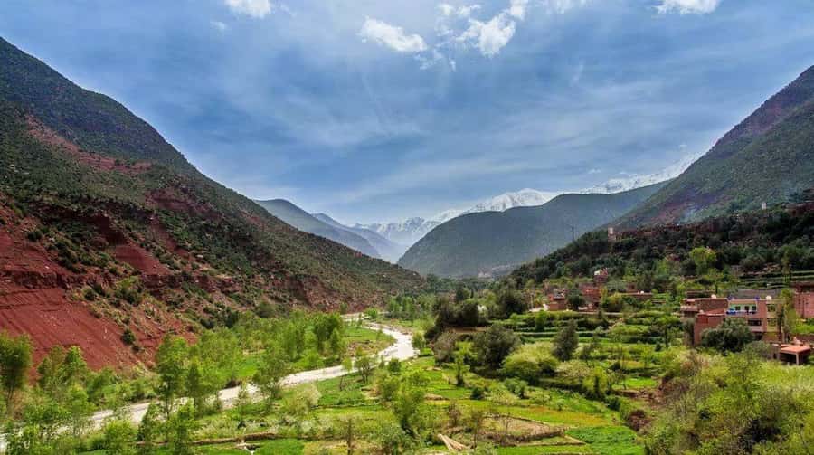 From Marrakech: Ourika Valley & Atlas Mountains Waterfalls - Key Highlights You’ll Feel in Your Day