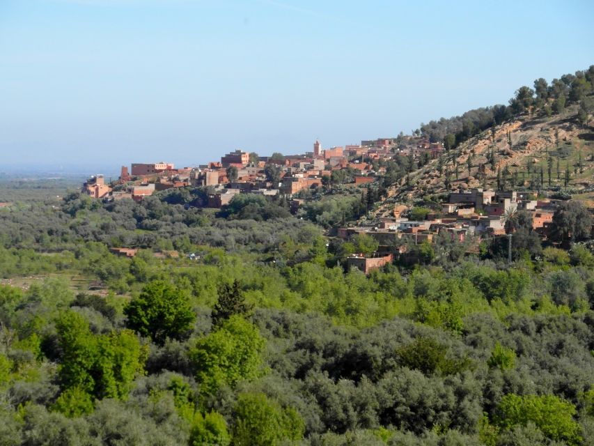 From Marrakech: Ourika Valley & Atlas Mountains Waterfalls - Women’s Argan Oil Cooperative: What You Learn (and Why It Feels Real)