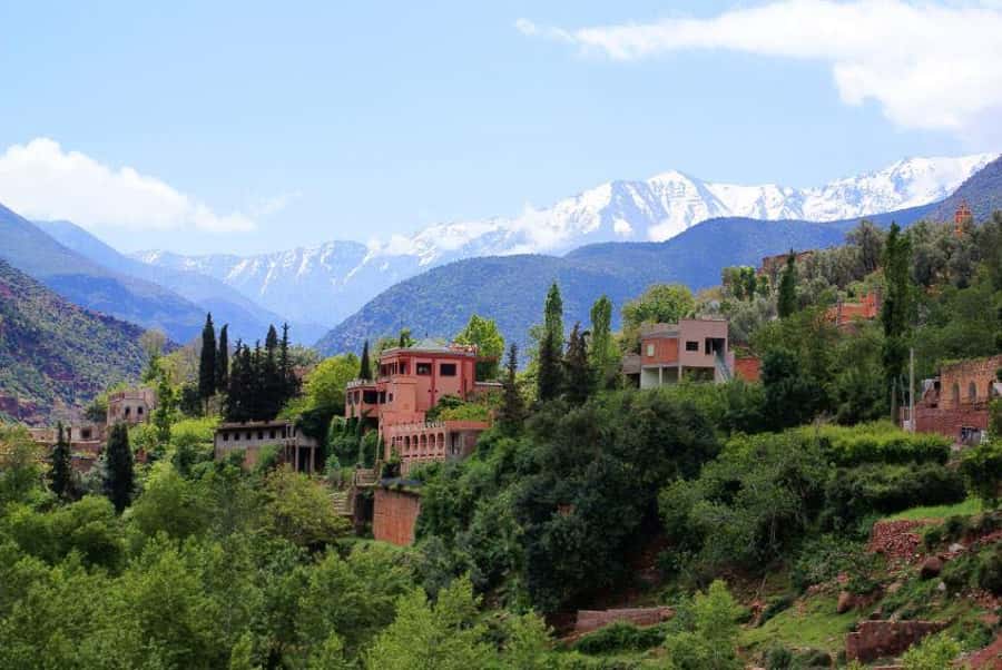 From Marrakech: Ourika Valley & Atlas Mountains Waterfalls - Setti Fatma and the Seven Waterfalls: The Hike Reality Check