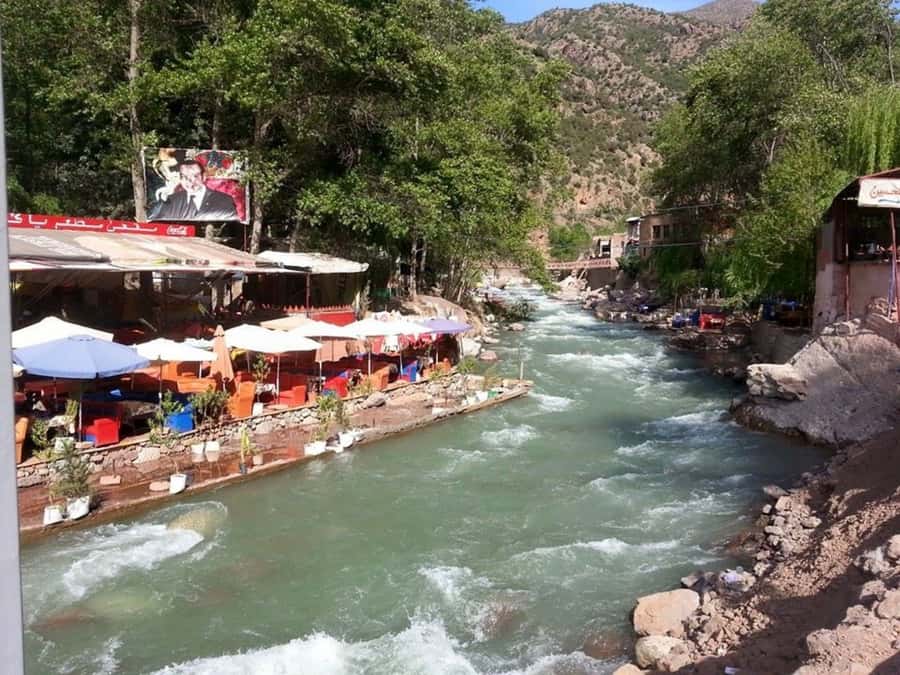 From Marrakech: Ourika Valley & Atlas Mountains Waterfalls - Price and Value: Is $16 a Good Deal for All This?