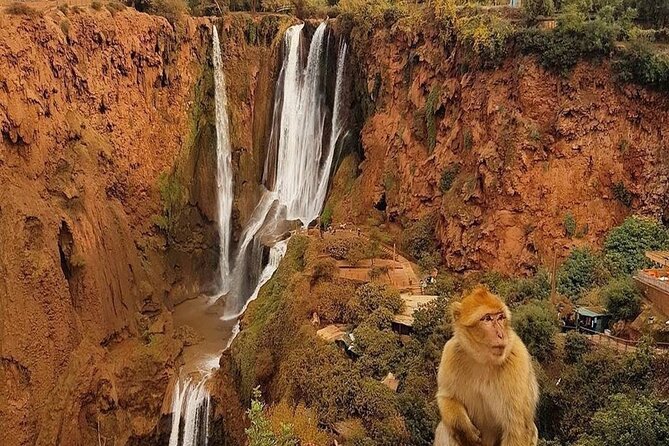 From Marrakech: Ouzoud Waterfalls Guided Hike and Boat Trip - The hike down: when shoes and pacing matter