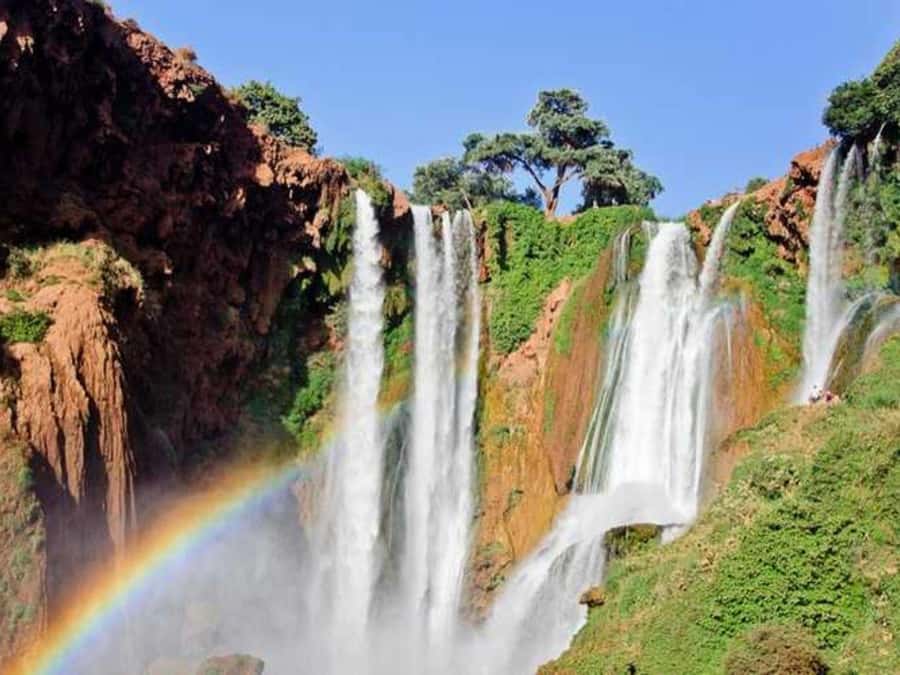 From Marrakech: Ouzoud Waterfalls guided trip with boat ride - Key highlights worth planning around