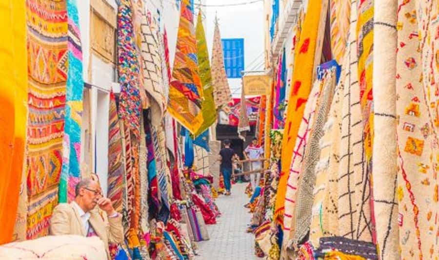 From Marrakech: Small Group to Essaouira & Sekkala Day Trip - Key Points You’ll Care About