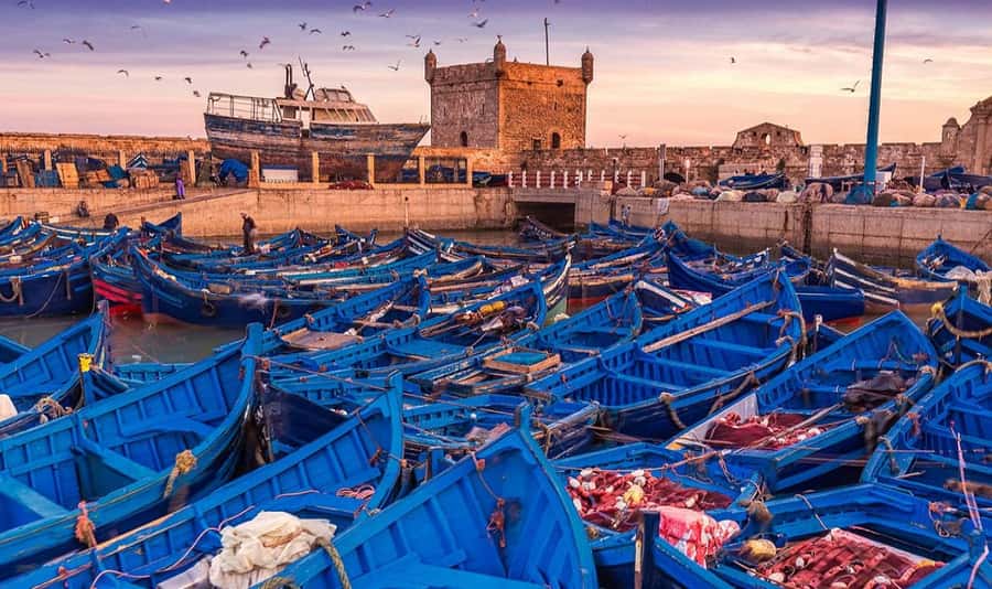 From Marrakech: Small Group to Essaouira & Sekkala Day Trip - The Argan Cooperative Stop at D’Argan Marjana: More Than Shopping