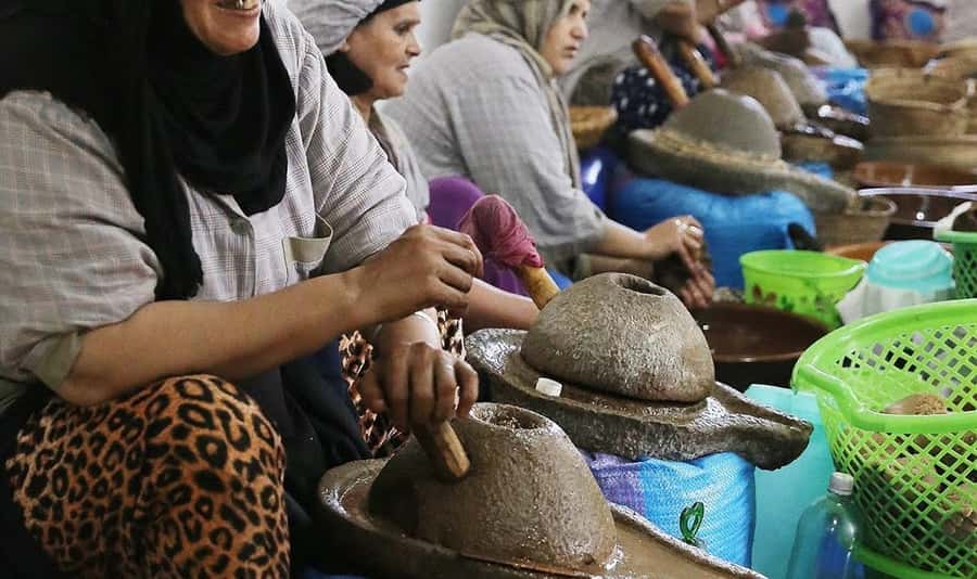 From Marrakech: Small Group to Essaouira & Sekkala Day Trip - Beach Breeze, Seafood Lunch, and Free Time Choices