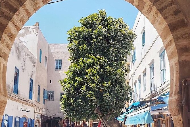 From Marrakech To Essaouira Mogador Full Day Trip | Small-group - Arriving at the Port: How to Spend Your Free Hours in Essaouira