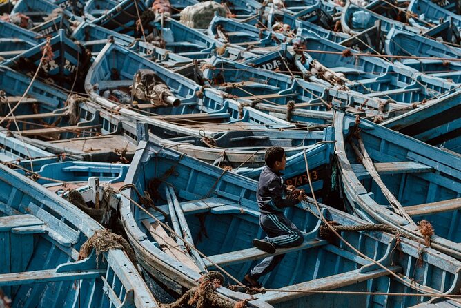 From Marrakech To Essaouira Mogador Full Day Trip | Small-group - The Medina and Port Experience: What Makes Essaouira Worth the Day Trip
