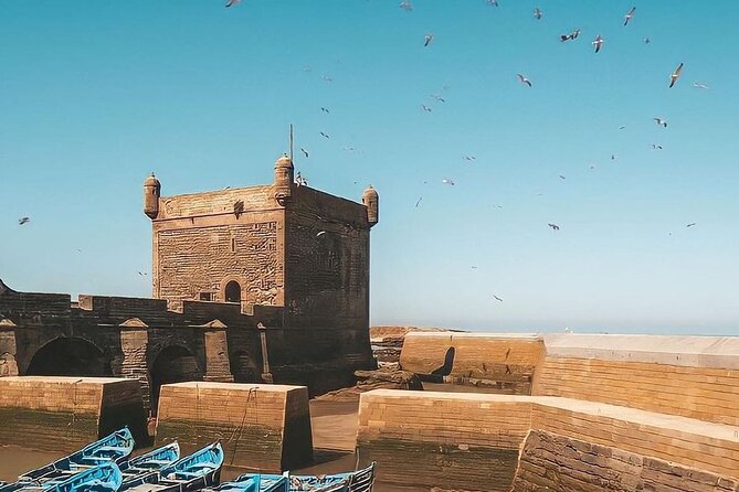 From Marrakech To Essaouira Mogador Full Day Trip | Small-group - Do You Really Need a Guide? Expect Self-Exploration Here