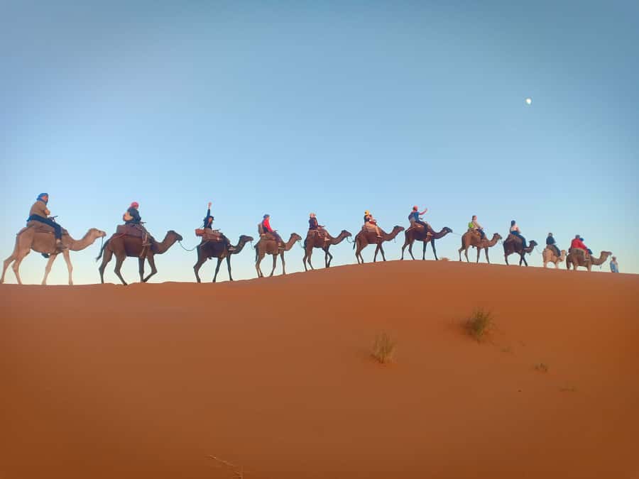 From Marrakech to Fes 3-Day Luxrury Tour via Sahara Desert - Erg Chebbi and Merzouga: camel trek logistics that keep it fun