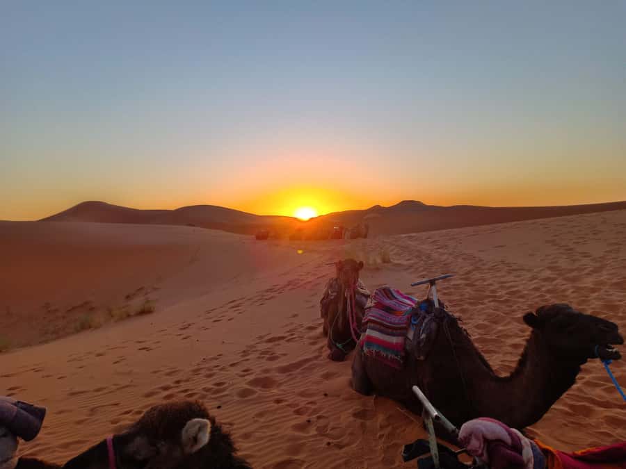 From Marrakech to Fes 3-Day Luxrury Tour via Sahara Desert - Berber camp night and stargazing: luxury tents vs standard tents