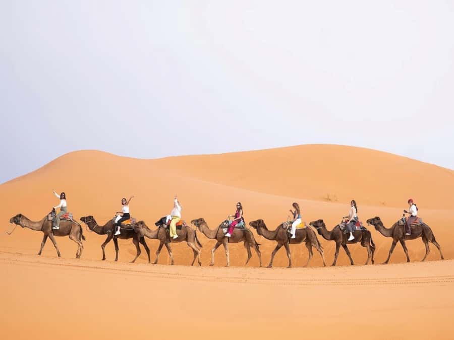 From Marrakech: Unforgettable 3-Day Desert Tour to Fes - Key takeaways before you go