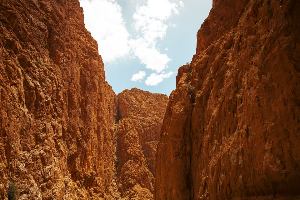 From Marrakech: Unforgettable 3-Day Desert Tour to Fes - Should you book this tour?