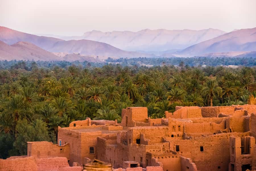 From Marrakech: Unforgettable 3-Day Desert Tour to Fes - Road to Fes: Erfoud fossils, Ziz Valley views, monkeys, then Ifrane