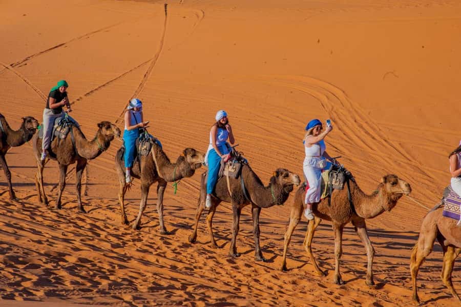 From Marrakech: Unforgettable 3-Day Desert Tour to Fes - Price and comfort: is $202 a fair deal?