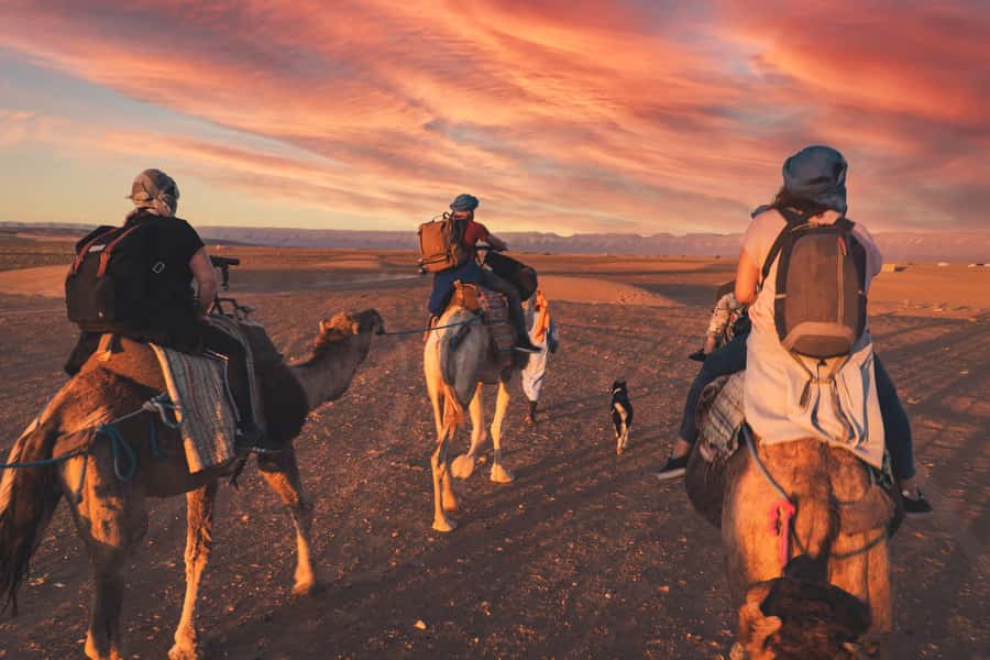 From Marrakech: Zagora 2-Day Desert Safari with Food & Camp - Key Highlights You’ll Care About