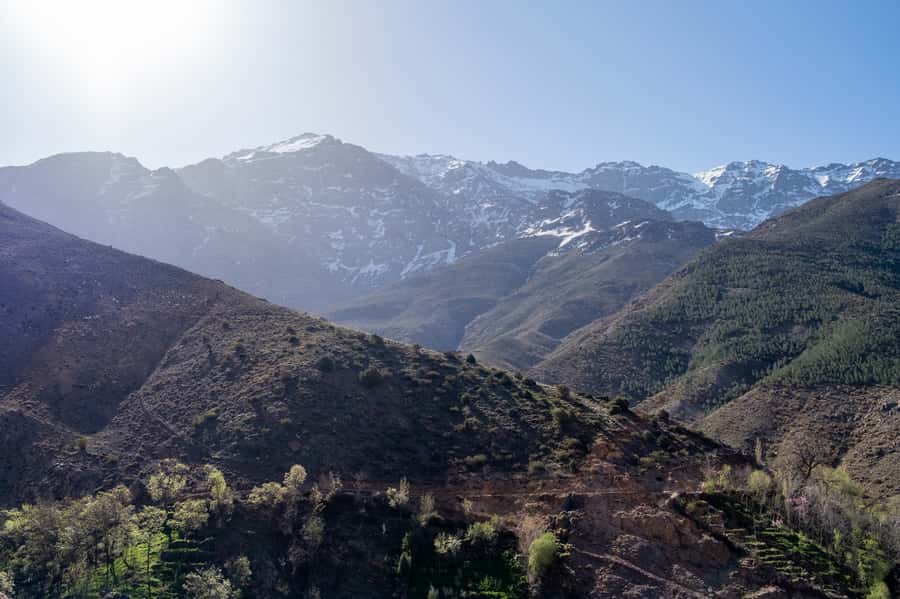 From Marrakesh: Atlas Mountains Talamrout Summit Day Hike - Why Adrar Talamrout feels like real High Atlas trekking