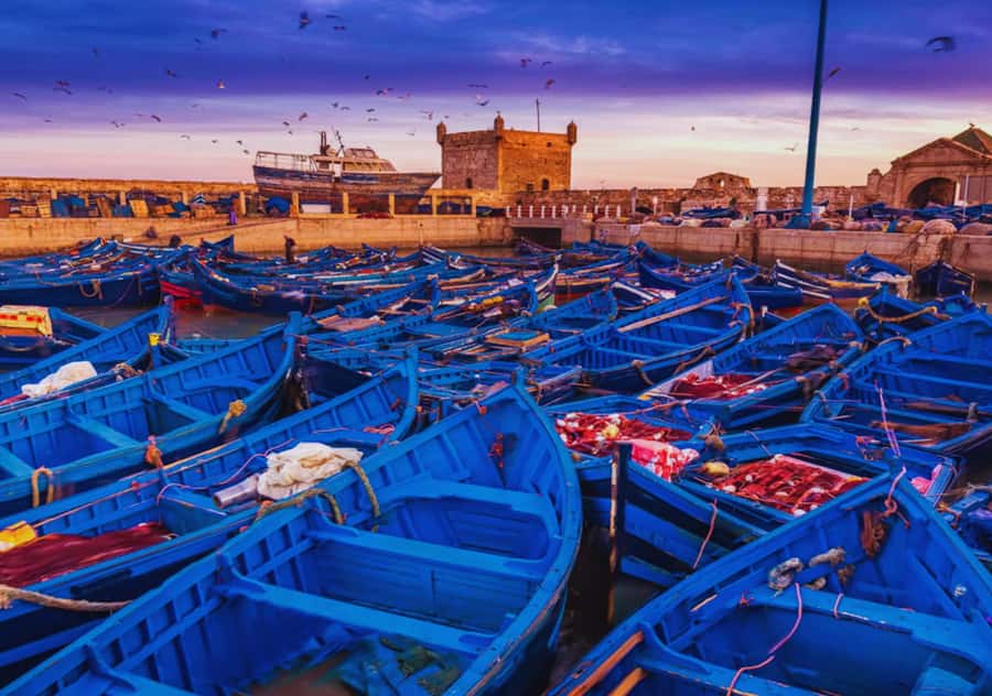 From Marrakesh: Essaouira Full-Day Trip - Key Points I’d Plan Around