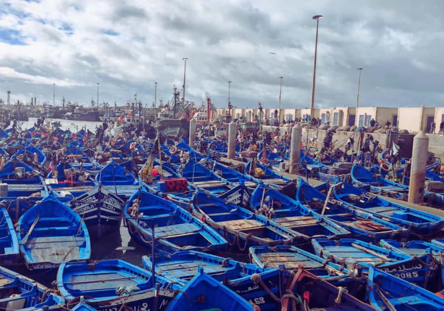 From Marrakesh: Essaouira Full-Day Trip - Women’s Argan Cooperative: What You Learn (and Why It Matters)