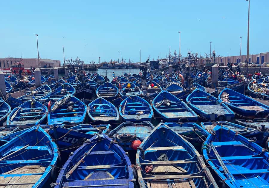 From Marrakesh: Essaouira Full-Day Trip - Arriving in Essaouira’s Medina and Harbor