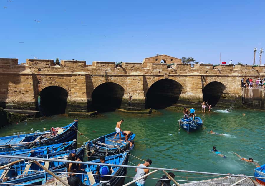 From Marrakesh: Essaouira Full-Day Trip - Free Time by the Beach: How to Spend It Without Rushing