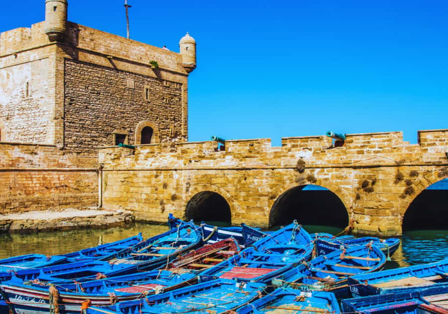 From Marrakesh: Essaouira Full-Day Trip - The Drive: Air-Conditioned Comfort and Berber Village Context