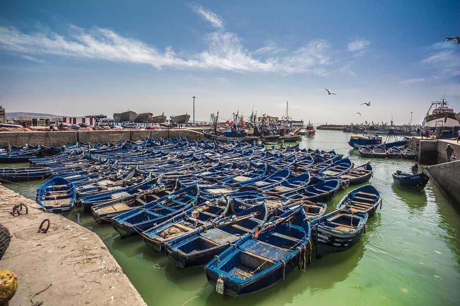 From Marrakesh: Small Group To Essaouira With Opt Activities - Marrakech to Essaouira by air-conditioned van: the practical part