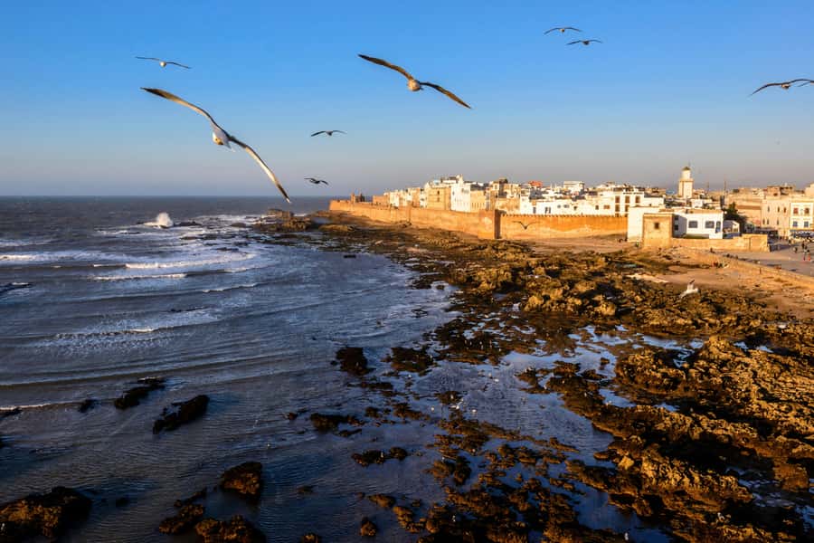From Marrakesh: Small Group To Essaouira With Opt Activities - Essaouira arrival: where the city feels calmer than Marrakech