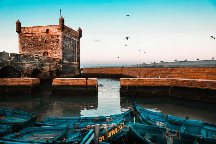 From Marrakesh: Small Group To Essaouira With Opt Activities - Port of Essaouira and seafood markets: the smell test you’ll enjoy
