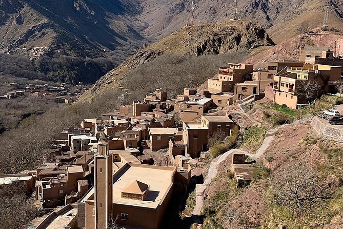 From Marrakesh: Zip-Line & Hike in the Atlas Mountains - Four zip-lines above pine forest and Atlas valleys