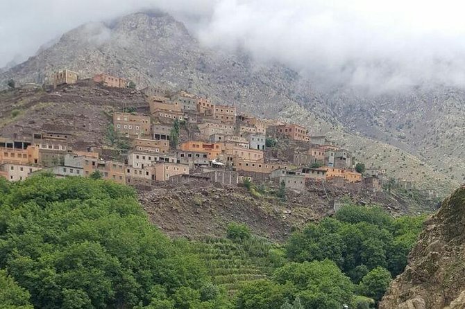 From Marrakesh: Zip-Line & Hike in the Atlas Mountains - The Argan oil stop: bread, oil, and a real Morocco flavor