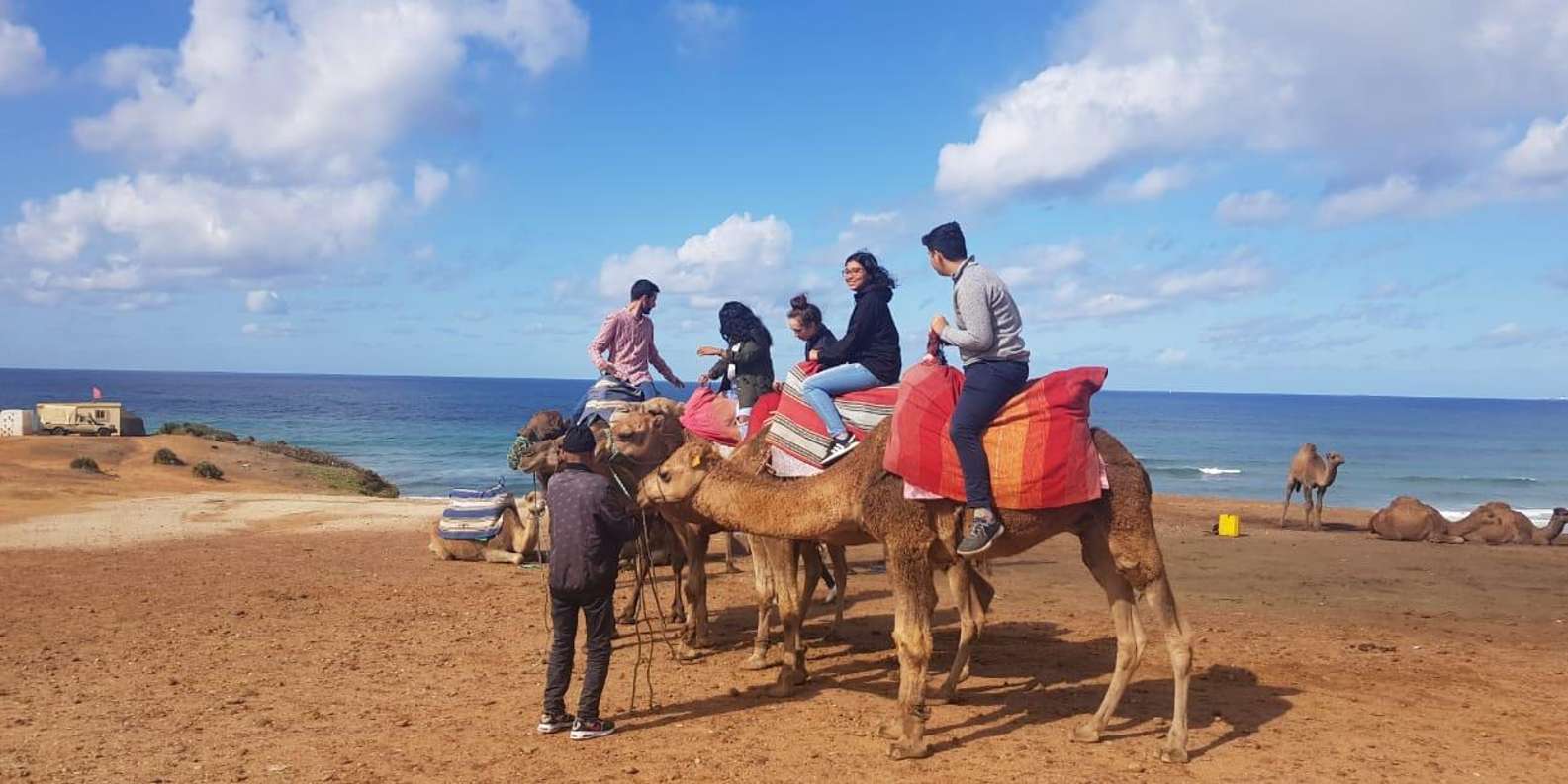 From Tangier: Cap Spartel and Hercules Cave with Camel Ride - Who this tour suits best (and who should reconsider)