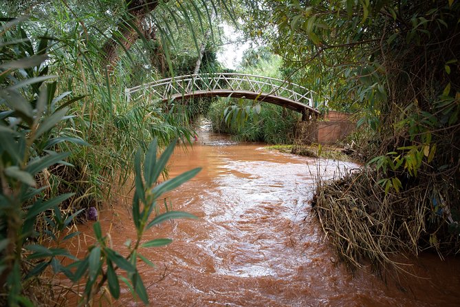 Full Day Trip To Ouzoud Waterfalls From Marrakech & Boat Tour - The boat ride and the river-level experience