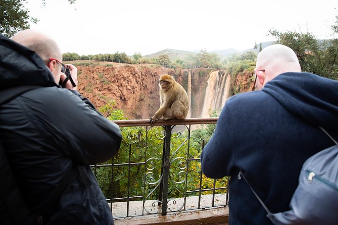 Full Day Trip To Ouzoud Waterfalls From Marrakech & Boat Tour - Guided time with local names: why the guide makes a difference