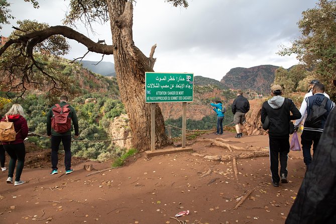 Full Day Trip To Ouzoud Waterfalls From Marrakech & Boat Tour - High Atlas foothills and olive groves: the scenery you get on the way