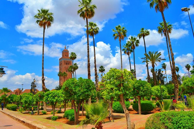 Highlights of Marrakech: Private Half-Day City Tour - Medersa Ben Youssef to Souk Semmarine: Learning, Then Shopping