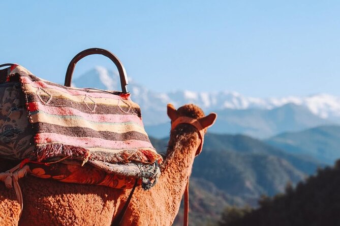 Lunch in the High Atlas: Ourika Valley Waterfalls & 3 Valleys - The Agafay Desert Camel Ride at Sunset: Photos and Practical Tips