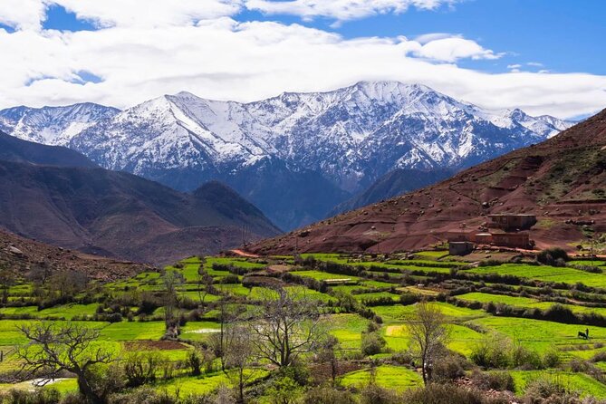 Lunch in the High Atlas: Ourika Valley Waterfalls & 3 Valleys - Three-Course Dinner by the Campfire and Live Music