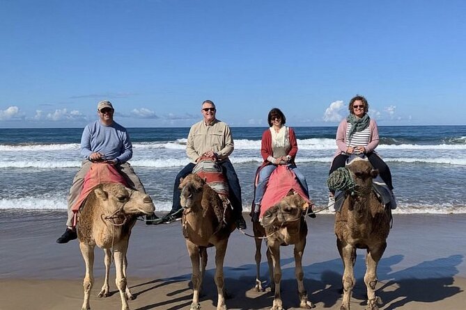 luxury 4 Hour Private Tour of Tangier - Tangier Casbah and Dar el Makhzen Gardens: Hilltop Views and Palaces