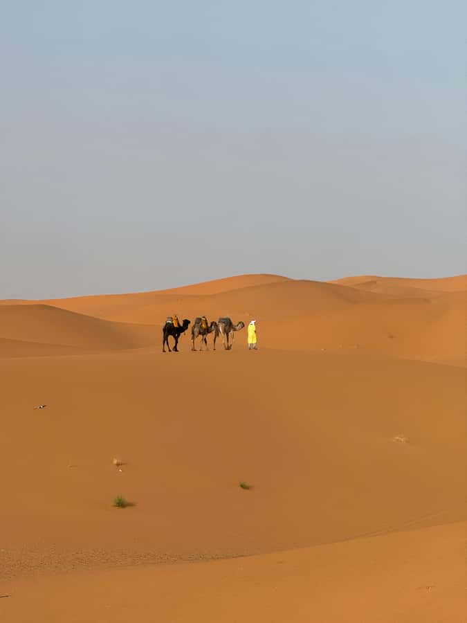 Majestic Desert: 3-Day Luxury Journey from Marrakech to Fes - Should You Book This 3-Day Marrakech to Fes Desert Trip?