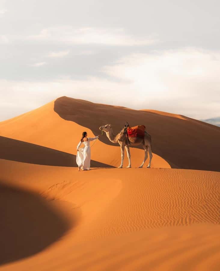 Majestic Desert: 3-Day Luxury Journey from Marrakech to Fes - Why This Route Works: Marrakech to Fes, Not Just a Transfer