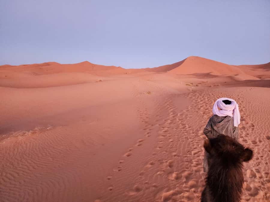 Majestic Desert: 3-Day Luxury Journey from Marrakech to Fes - Day 1: High Atlas Pass Views, Aït Benhaddou, and the Skoura to Dades Shift