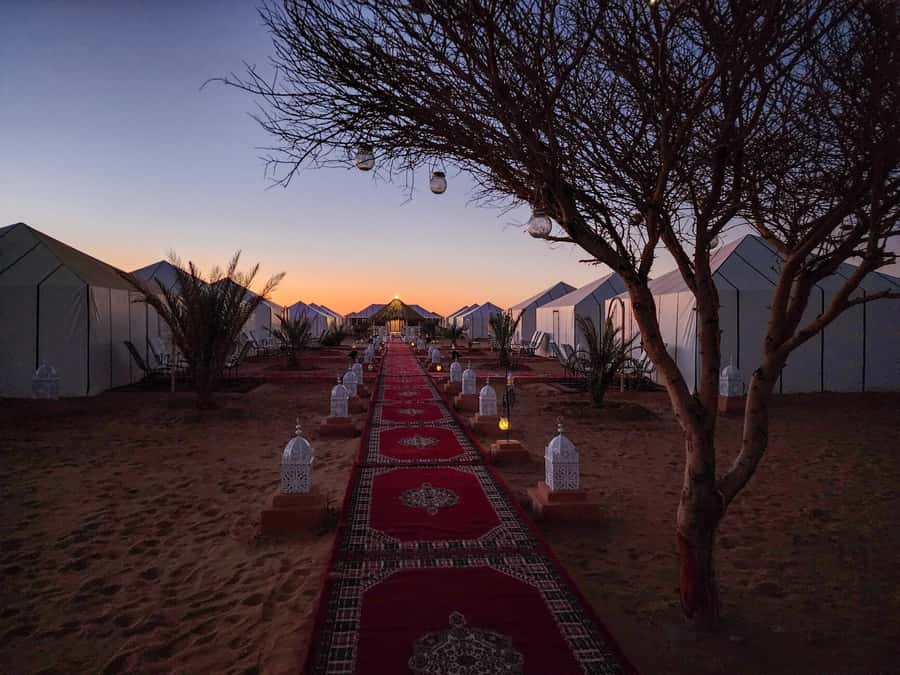 Majestic Desert: 3-Day Luxury Journey from Marrakech to Fes - Day 3: Sunrise Dunes, Desert Activities, and the Middle Atlas Return to Fes