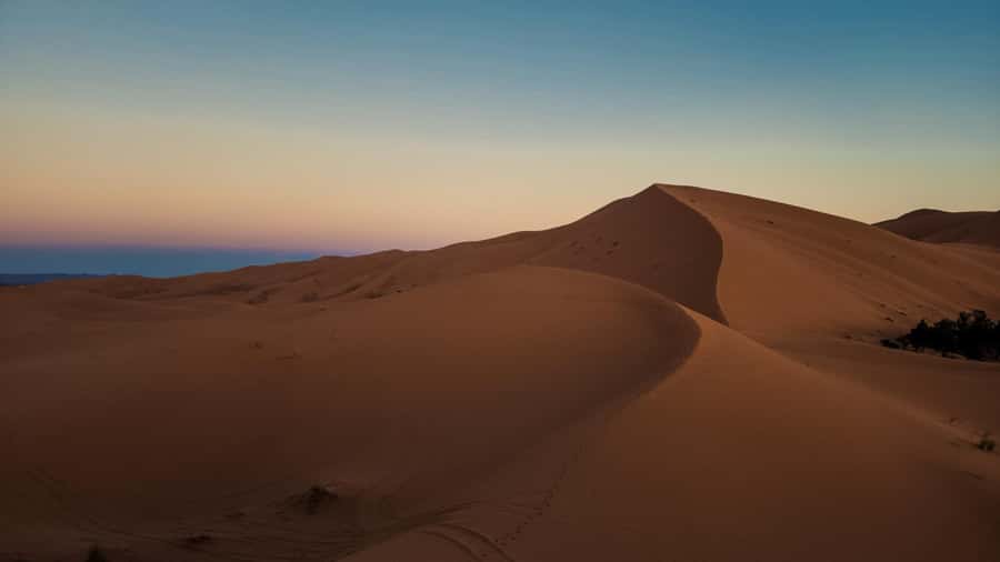 Majestic Desert: 3-Day Luxury Journey from Marrakech to Fes - Who Should Book This Majestic Desert Journey (and Who Might Not)