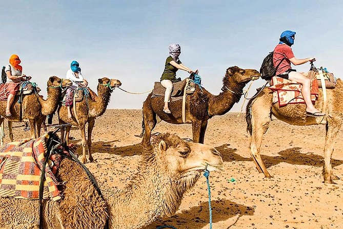 Marrakech: 1 Day Tour-Best of the Atlas Mountains &Three Valleys - High Atlas viewpoints at Moulay Brahim: a classic Toubkal sightline