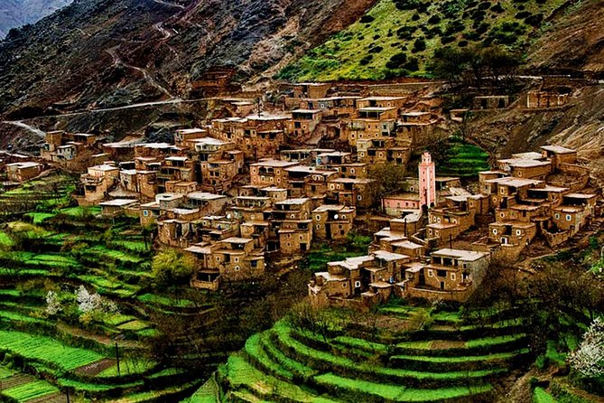 Marrakech: 1 Day Tour-Best of the Atlas Mountains &Three Valleys - Ourika Valley camel ride: photos, costumes, and mint tea