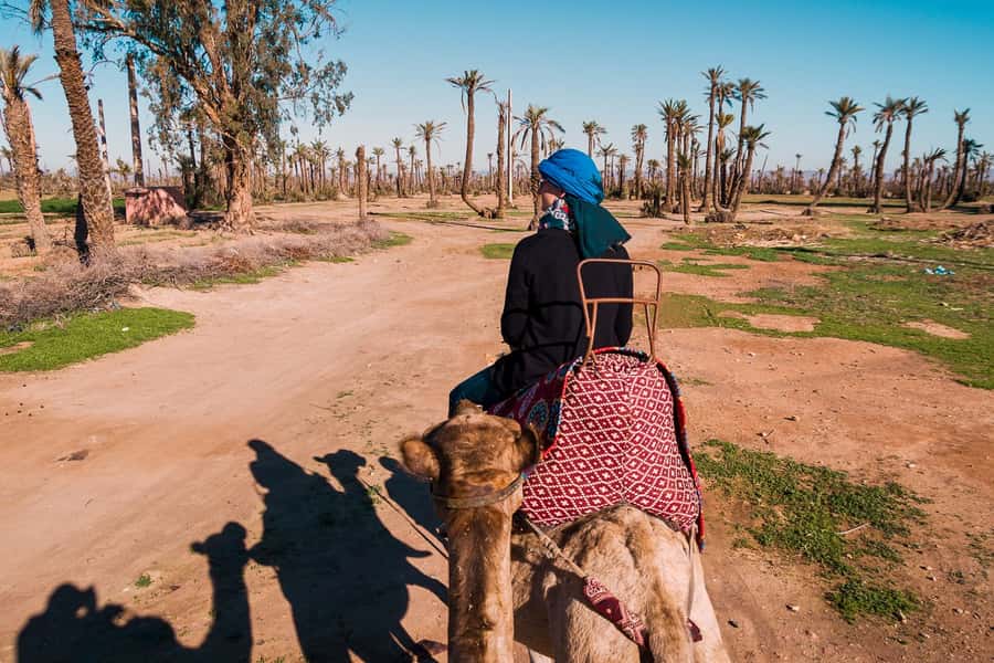 Marrakech: 2-Hour Quad Bike & Camel Ride in Palmeraie - Why the Palmeraie quad-and-camel combo works so well