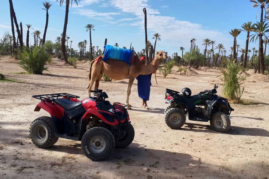 Marrakech: 2-Hour Quad Bike & Camel Ride in Palmeraie - Camel ride in the Palmeraie: costume, pace, and the tea break