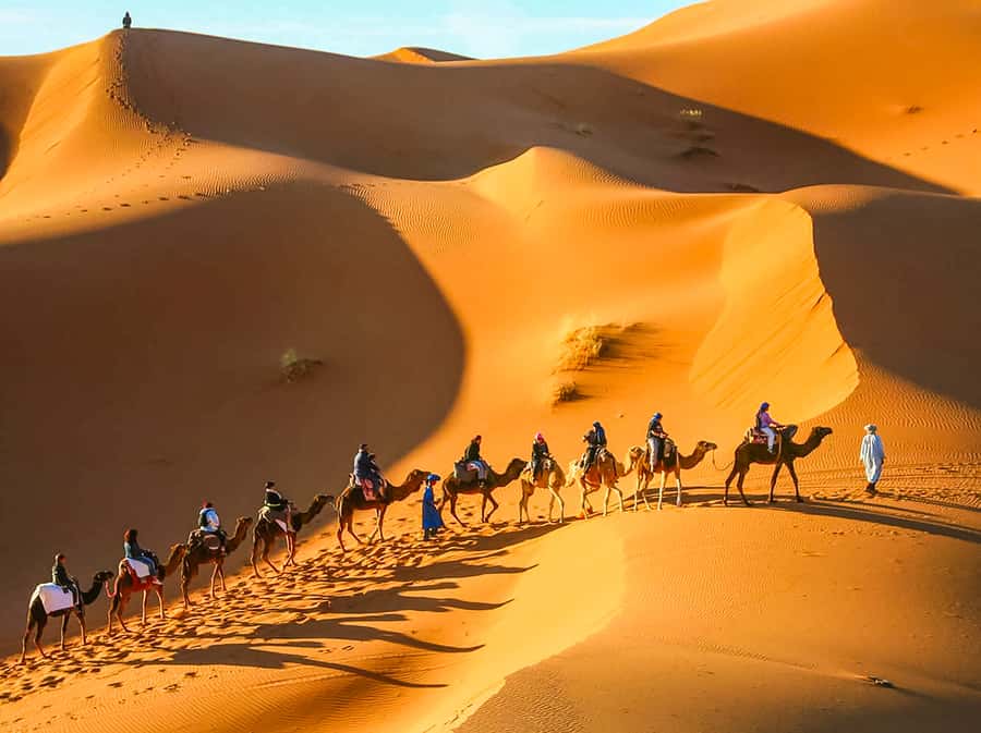 Marrakech: 3-Day Merzouga Desert Experience Camel & Meals - From Marrakech to the High Atlas: where the trip really begins