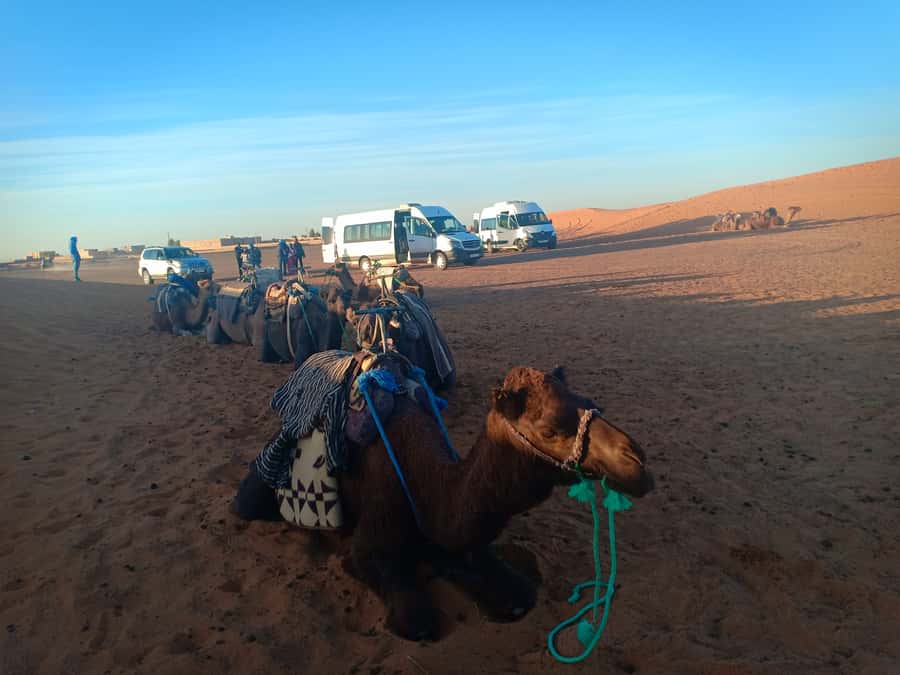 Marrakech: 3-Day Merzouga Sahara Desert Tour with Quad Ride - Sunrise return and the long road back to Marrakech
